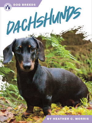 cover image of Dachshunds